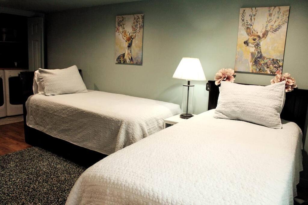 Heart Of Woodstock, 10 Min Walk To Reed, With Private Garage! Appartamento Portland Esterno foto